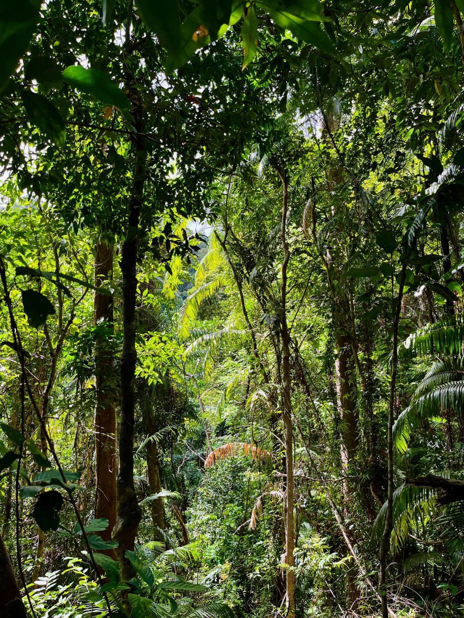 Efrena Agro Tourism Beach El Nido Ngoại thất bức ảnh
