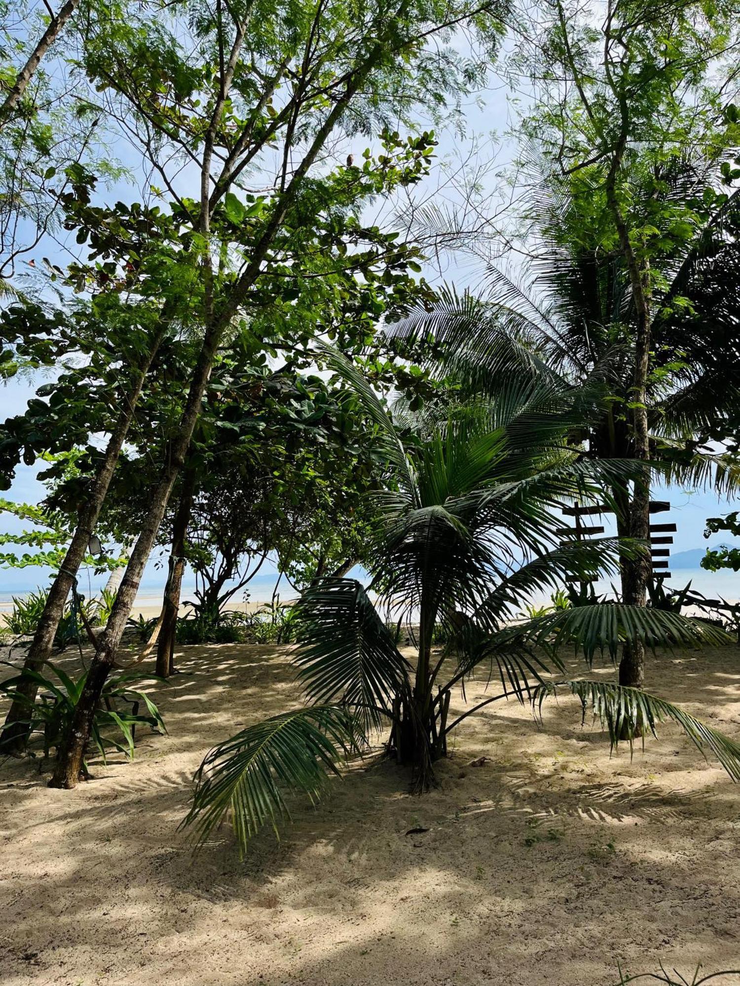 Efrena Agro Tourism Beach El Nido Ngoại thất bức ảnh
